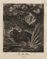 KG 01074
          <br/>
          Entwurf einiger Thiere. Zweyter Theil. (20 bladen)
          <br/>
          <em>Ridinger, Johann Elias (1698-1767)</em>